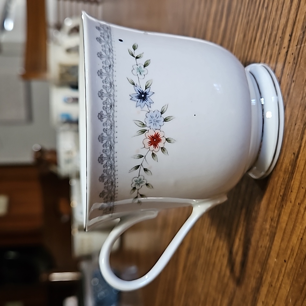DYNASTY CHINA - Melody Fine China Footed Cup -Platinum- #2006 Discontinued - EC
